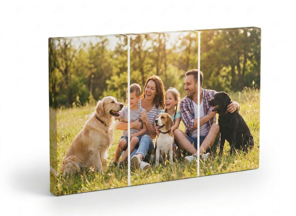 Photo Collage Canvas mascotas