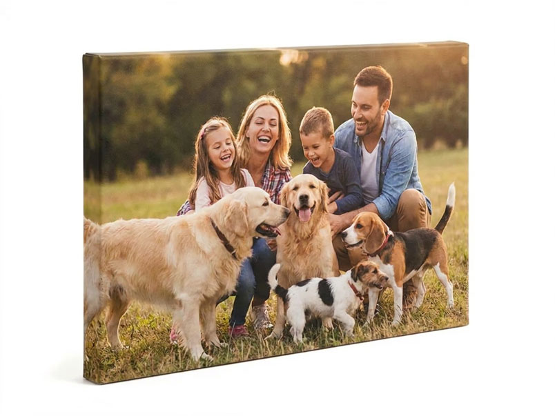 Canvas personalizado mascotas