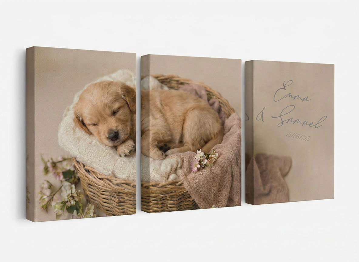 Tríptico Canvas mascotas